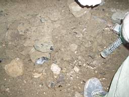 coolross 2545.jpg